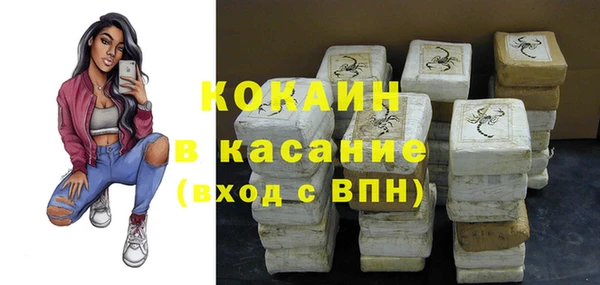 шишки Алексин