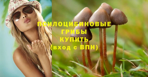ECSTASY Алзамай